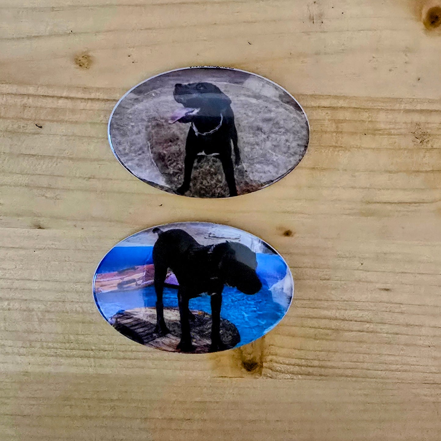 Magneti ovali personalizati 45x65 mm - Set 8 magneti