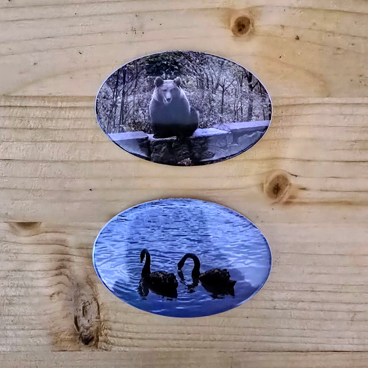 Magneti ovali personalizati 45x65 mm - Set 8 magneti