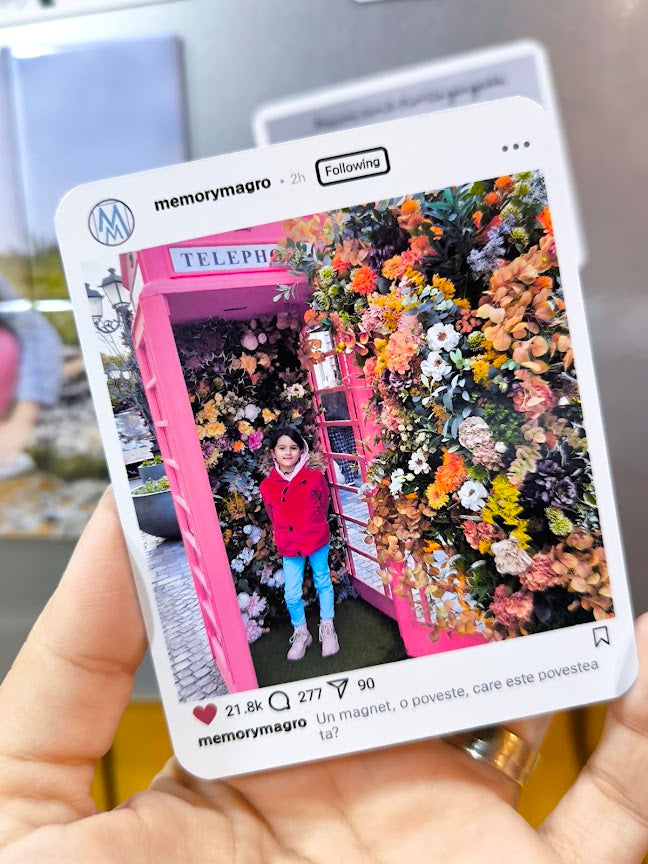 Magnet tip postare Insta | set 12 bucati