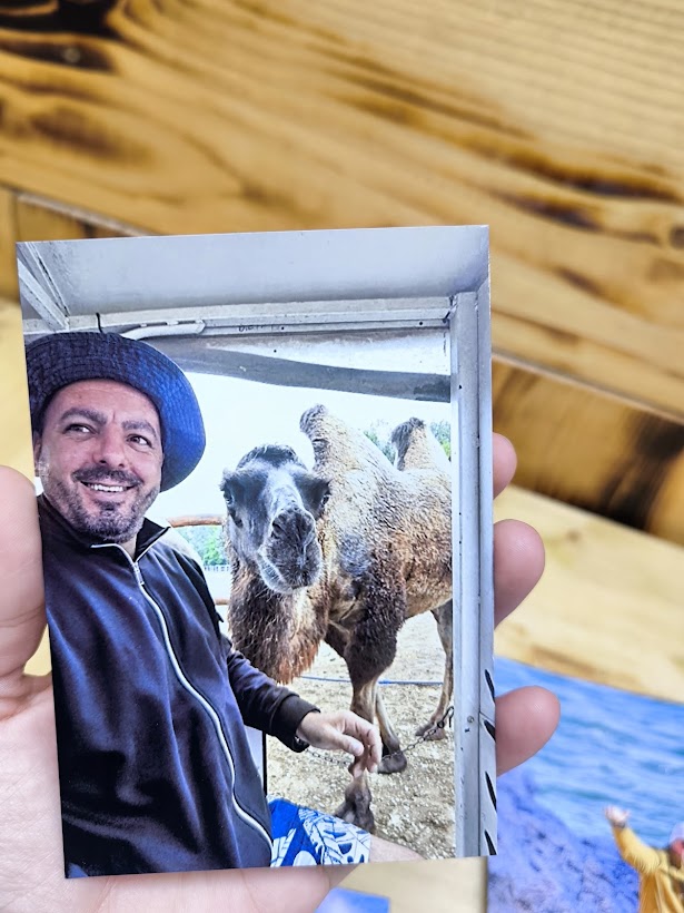 Print Fotografii